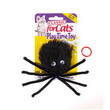 GIOCO GATTO RAGNO CON ANELLO CM 18                             